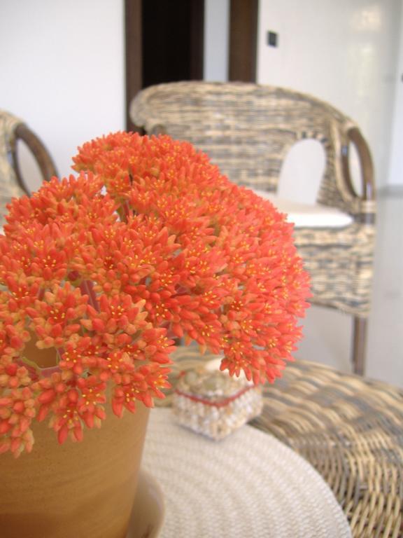 B&B Corallo Capilungo 外观 照片